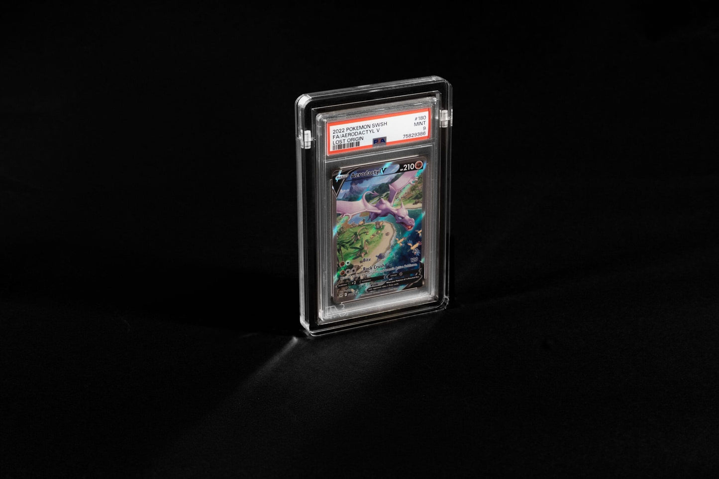 The Acrylic Box - Graded Card Acryl Case
